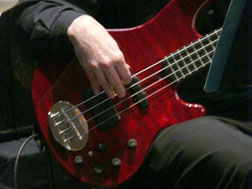 FZ18 Bass