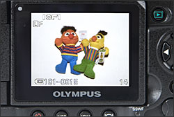 Olympus E-3 - LCD Display