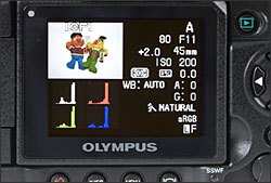 Olympus E-3 - LCD Display