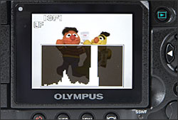 Olympus E-3 - LCD Display