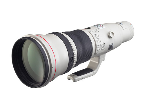 Canon EF800mm f/5.6L IS USM Lens
