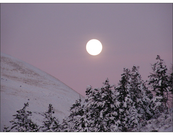 Moon Over Hellgate - by Patia Stephens