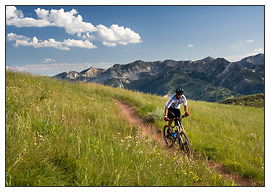 Wasatch Crest Trail - Utah