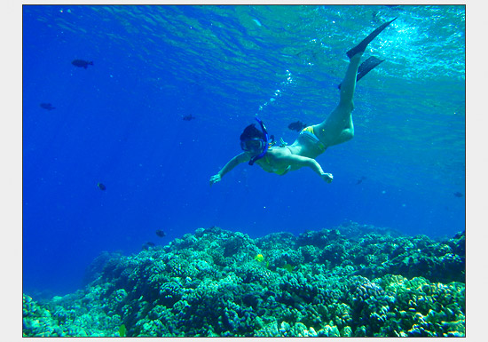 Molokini Crater Snorkeling - Olympus Stylus 1030 SW