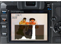 Olympus E-420 - LCD Display