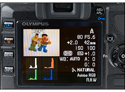 Olympus E-420 - LCD Display