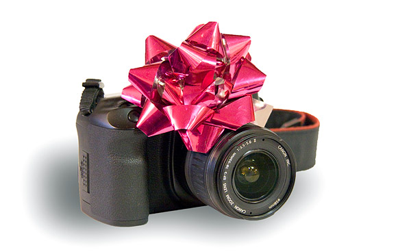 Holiday Digital Camera Guide