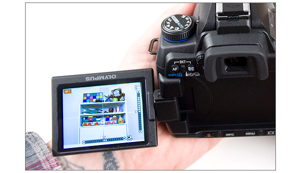 Olympus E-30 2.7-inch tilt/swivel LCD in Live View mode