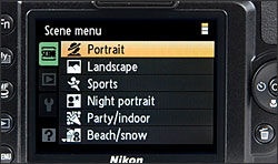 Nikon Coolpix P6000 - LCD Display