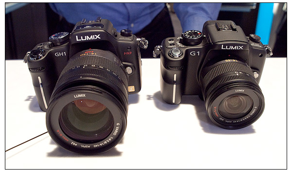 Panasonic Lumix GH1 (left) and G1