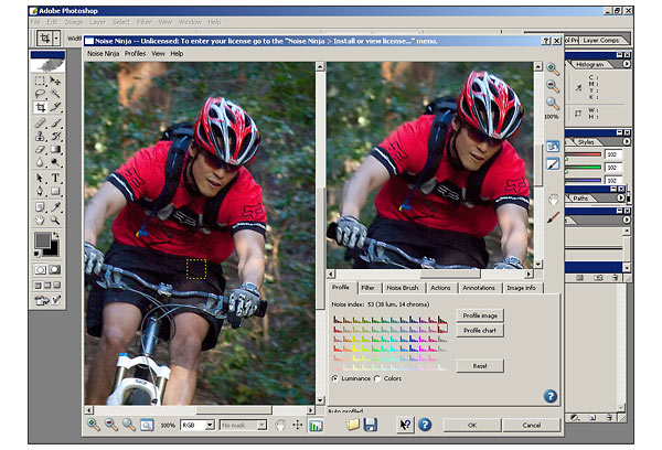 Noise Ninja Photoshop Plug-In Screenshot