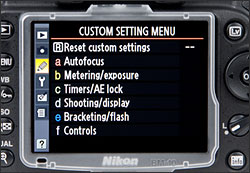 Nikon D90 - LCD Display