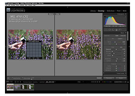 SpyderCube adjustment in Lightroom