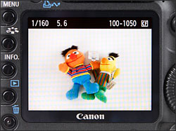 Canon EOS 5D Mark II - LCD Display