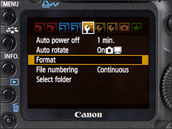 Canon EOS 5D Mark II - LCD Display