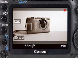 Canon EOS 5D Mark II - LCD Display