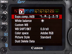 Canon EOS 5D Mark II - LCD Display