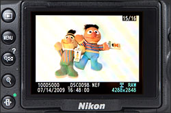 Nikon D5000 - LCD Display