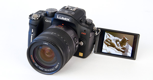 Panasonic GH1 with 3-inch tilt-swivel LCD display