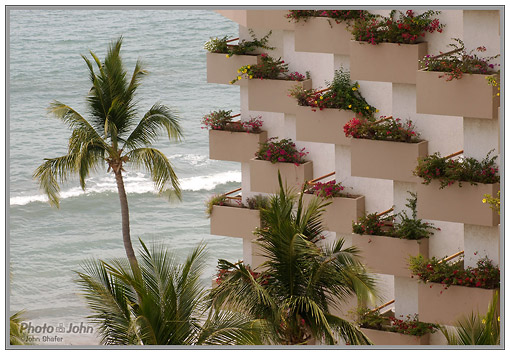 Mazatlan resort with palm and flowers - Olympus E-PL1 sample photo