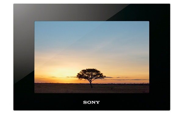 Sony DPF-VR100