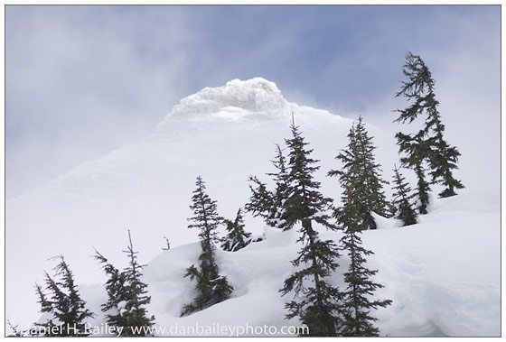 Five Tips For Good Snow Photos