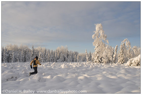 Five Tips For Good Snow Photos