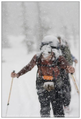 Snow photo tips - snow as the subject