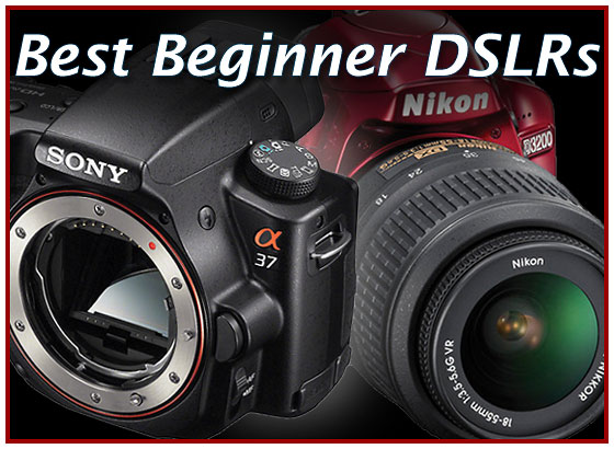 Top Five Beginner Digital SLRs