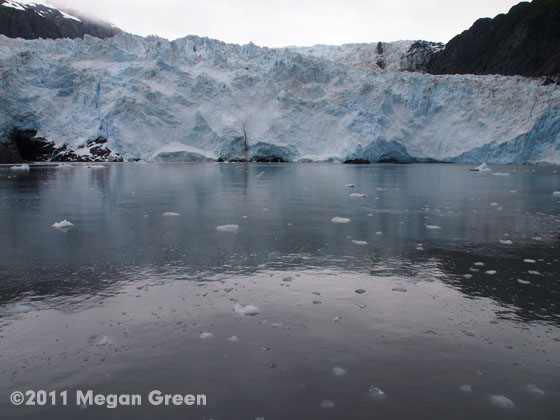 Olympus PEN Camera Alaska Adventure