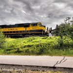 Olympus E-P3 - Alaska Train Photo