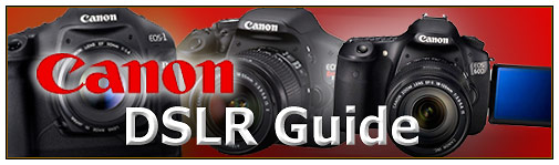 Best Canon DSLR Guide