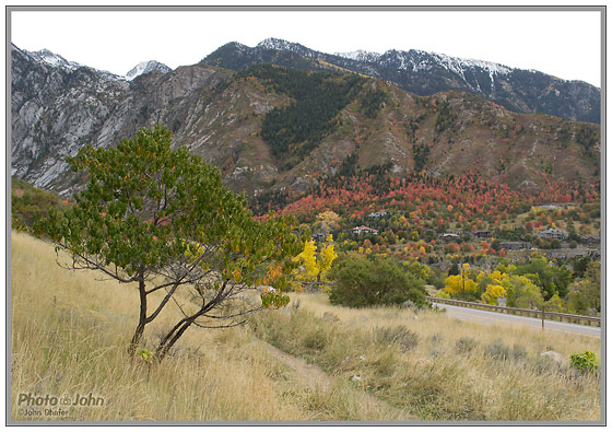 Nikon D3100 - Salt Lake City Fall Color