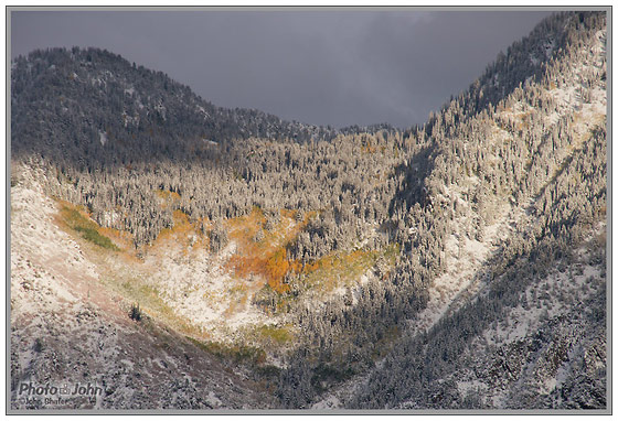 Early Snow - Olympus E-P3