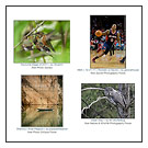 featured-photos_1-3-12_feat