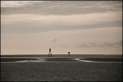 Sandbank shelters by Ctn