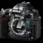 Nikon D800 - Cutaway View