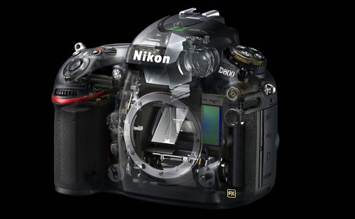 Nikon D800 - Cutaway View