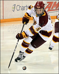 UMD (Minnesota-Duluth) Womens Hockey - by DHMN69