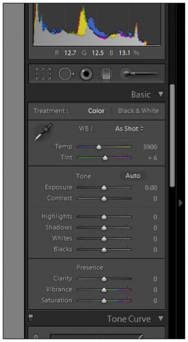 New Lightroom 4 Basic Panel 