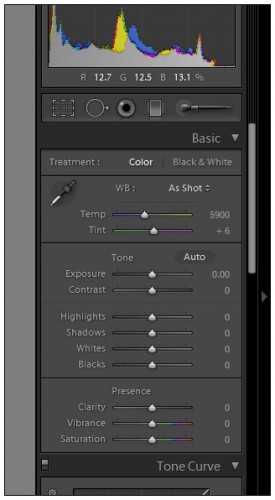 New Lightroom 4 Basic Panel 