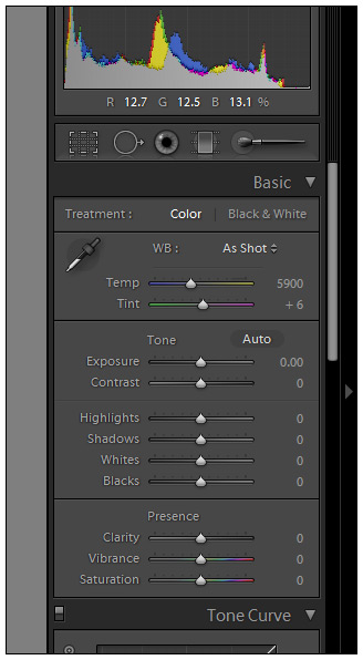 New Lightroom 4 Basic Panel