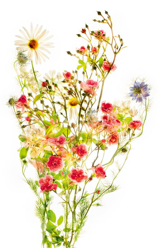Faerie Bouquet - © Harold Davis
