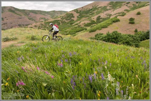 Canon EOS 5D Mark III - The (Utah) Hills Are Alive