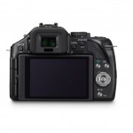 Panasonic Lumix G5 - Rear LCD - Black