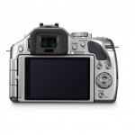 Panasonic Lumix G5 - Rear LCD - Silver