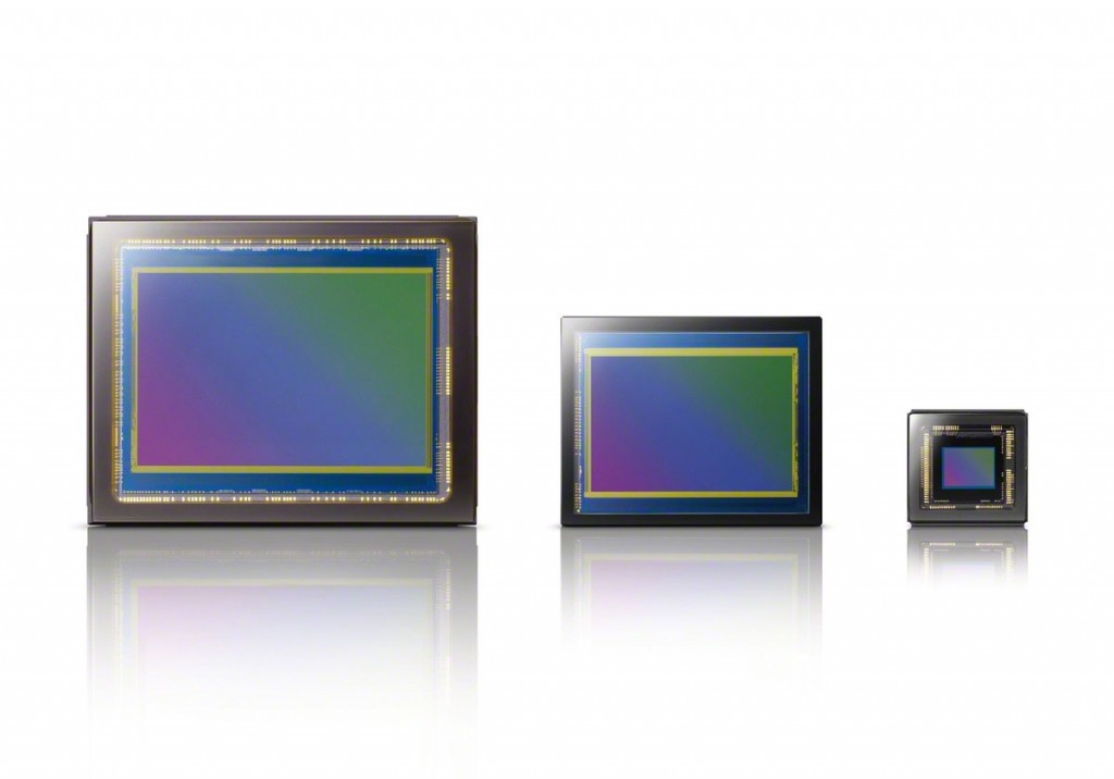 Full-Frame Sensor Size Comparison