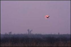 Sunset Crane - by mjs1973