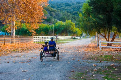 Evening ride by Adamo