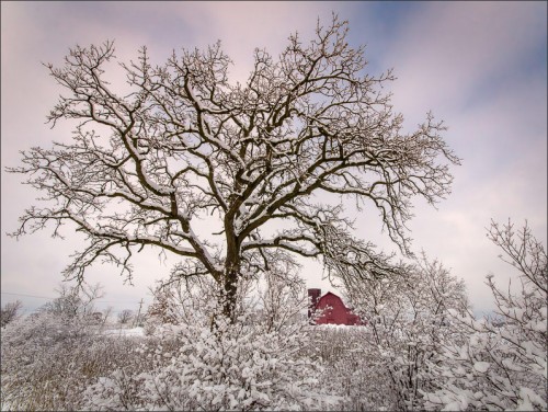 Red Barn in Winter by llewpics